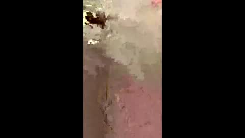 freelingling online show from December 2, 2025, 9:47 am