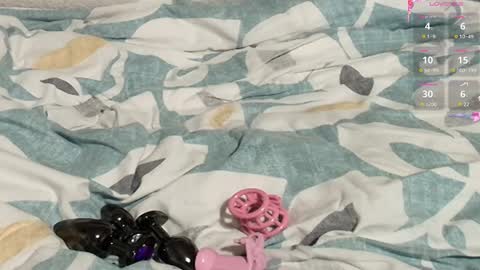 Meadow online show from February 27, 2025, 10:26 am