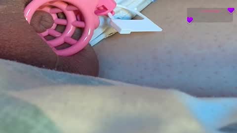 Meadow online show from March 9, 2025, 9:35 am