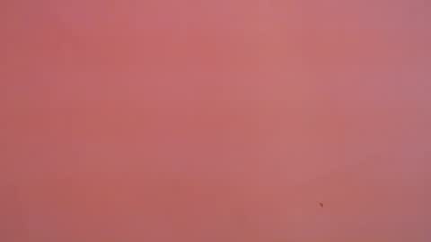 Snapshot of freyjashine_x chatting on January 16, 2025, 11:16 pm FREYJA LOREN online show from January 16, 2025, 11:16 pm