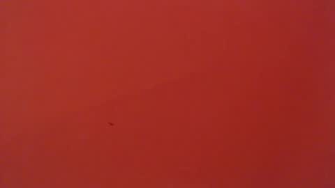 Snapshot of freyjashine_x chatting on February 6, 2025, 5:14 am FREYJA LOREN online show from February 6, 2025, 5:14 am