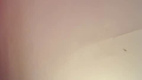 Snapshot of freyjashine_x chatting on February 25, 2025, 8:09 pm FREYJA LOREN online show from February 25, 2025, 8:09 pm