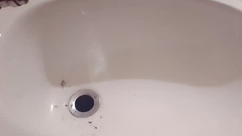 Hornycouple1386 online show from March 15, 2026, 8:48 pm