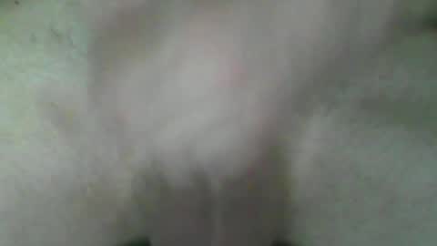 fry online show from July 2, 2026, 5:41 pm