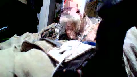 fuckmeallday1975 online show from July 5, 2026, 8:43 am