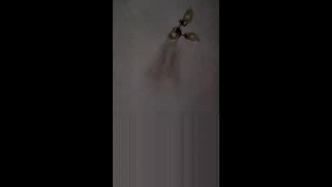 fucktoy972955 online show from February 26, 2026, 3:16 am