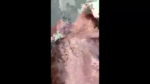 fukitol73 online show from April 19, 2026, 9:28 pm