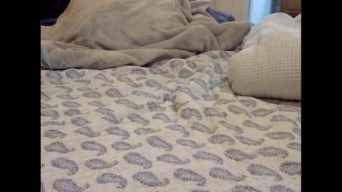 Funtimz16 online show from March 9, 2025, 8:07 am