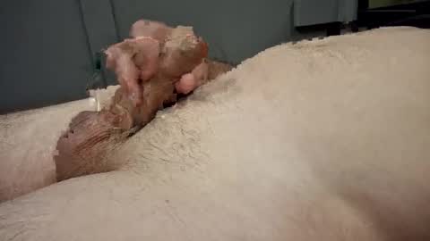 Snapshot of gabriel669 chatting on October 7, 2025, 8:55 am gabriel669 online show from October 7, 2025, 8:55 am