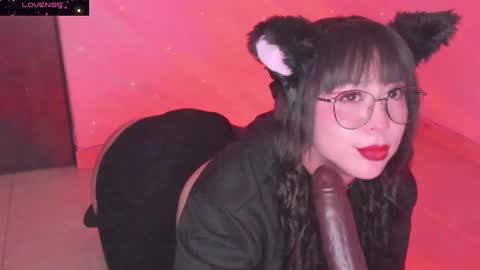 PROXIMO SHOW NOVIEMBRE 16   NEXT SHOW NOVEMBER  16    online show from December 20, 2024, 1:03 am