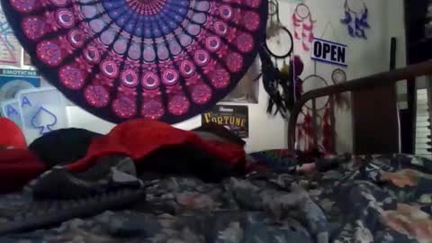 Gardenia online show from April 4, 2026, 10:24 am