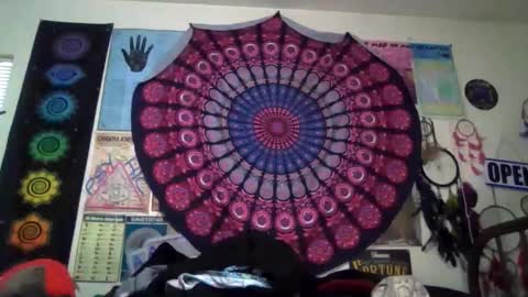 Gardenia online show from April 5, 2026, 11:13 pm