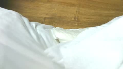 Rose online show from February 7, 2026, 8:29 am