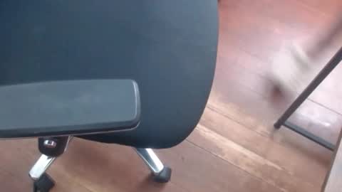 Snapshot of gato27cam chatting on April 20, 2026, 2:42 pm Marco online show from April 20, 2026, 2:42 pm