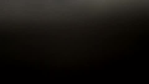 Snapshot of gdx129 chatting on January 7, 2025, 5:01 am Gdx00 online show from January 7, 2025, 5:01 am