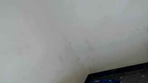 gelo online show from March 21, 2026, 12:54 pm