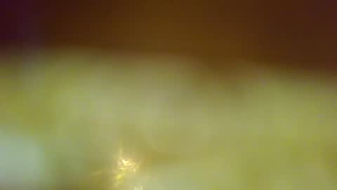 germanandy71 online show from December 23, 2025, 8:01 am