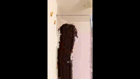 Snapshot of ggggu495826 chatting on February 10, 2026, 2:32 pm ggggu495826 online show from February 10, 2026, 2:32 pm