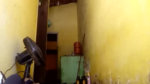 Gaby online show from April 9, 2026, 4:45 pm