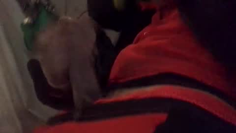 ghallofino26 online show from February 5, 2026, 2:49 am