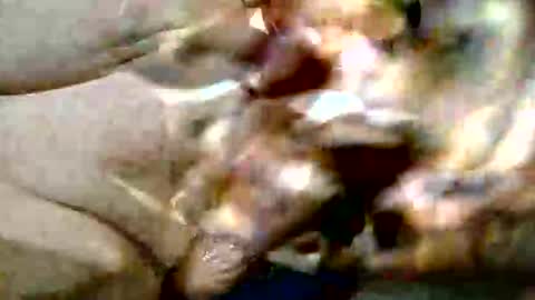 ghost1805 online show from October 29, 2025, 9:16 pm