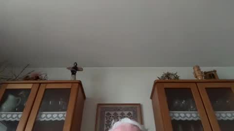 Snapshot of ghu7a6 chatting on December 30, 2024, 7:48 am Mr. Cum Tribute online show from December 30, 2024, 7:48 am