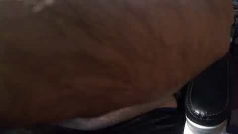 Gianni9000000 online show from February 5, 2026, 2:43 pm