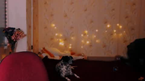 Emm online show from December 20, 2024, 11:37 pm