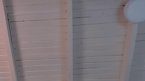 gigi wilden online show from February 12, 2025, 2:10 pm