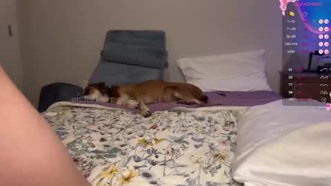 gigi online show from February 5, 2025, 1:58 am