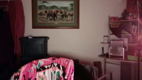 gingerbd92 online show from April 20, 2026, 12:30 pm