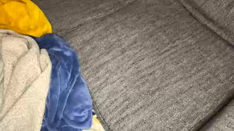 gingerrslut online show from March 13, 2026, 8:54 am