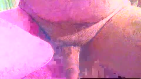 girafsnoop online show from December 1, 2025, 4:01 pm