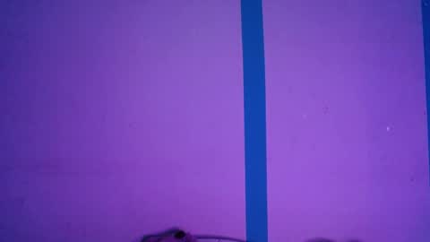 Snapshot of girl_marvel1 chatting on April 3, 2026, 6:44 am Alejandra online show from April 3, 2026, 6:44 am