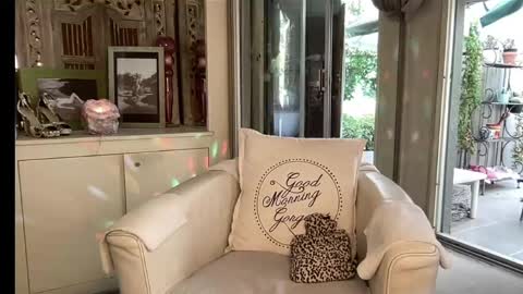 Gl1tter Barbie online show from March 16, 2026, 1:04 pm