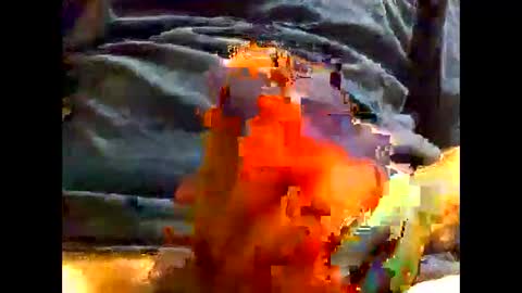 PencilDick online show from December 5, 2024, 9:39 am