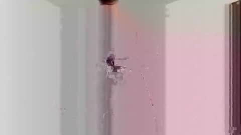 goblue4133 online show from December 25, 2024, 5:37 am