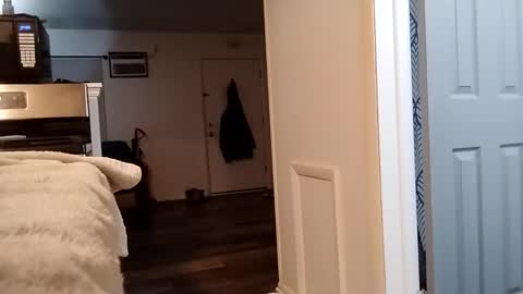 goblue4133 online show from December 2, 2025, 5:02 am