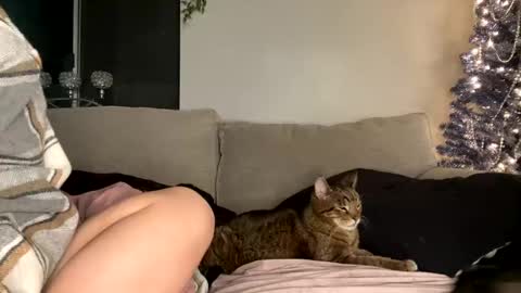 GoddessMayvn online show from December 29, 2024, 12:55 pm