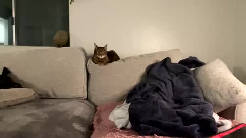 GoddessMayvn online show from February 8, 2025, 7:15 am