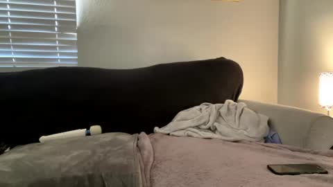 GoddessMayvn online show from July 2, 2026, 2:33 am