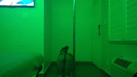 Snapshot of gogetter4life213 chatting on February 2, 2025, 4:32 pm gogetter4life213 online show from February 2, 2025, 4:32 pm