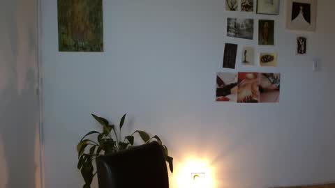 Alaska online show from February 1, 2026, 12:15 pm