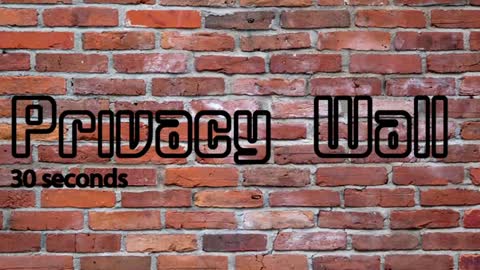 Rick online show from December 5, 2024, 9:28 am