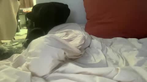 goodparker online show from October 8, 2025, 2:31 am