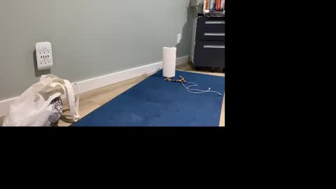 GoshLover online show from November 4, 2025, 5:01 pm