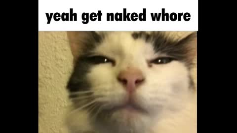 Snapshot of goth_pumpkin chatting on March 3, 2025, 12:26 am Amy online show from March 3, 2025, 12:26 am