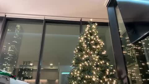 Gracie Mae online show from December 3, 2025, 11:36 pm