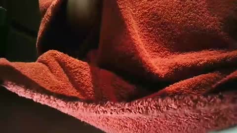 grapefruit online show from March 1, 2025, 9:59 pm