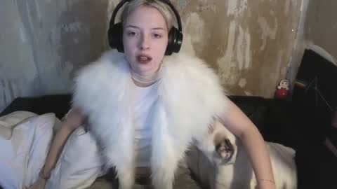 Snapshot of graylovescookies chatting on December 19, 2024, 10:45 am graylovescookies online show from December 19, 2024, 10:45 am